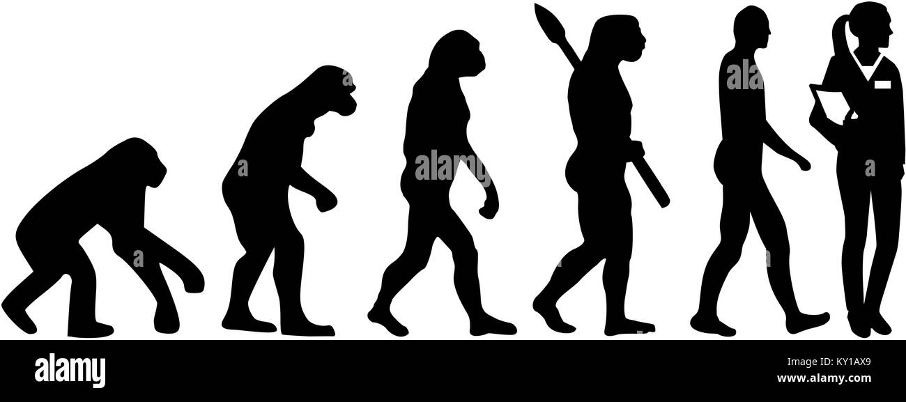 Assistant du médecin évolution Banque D'Images