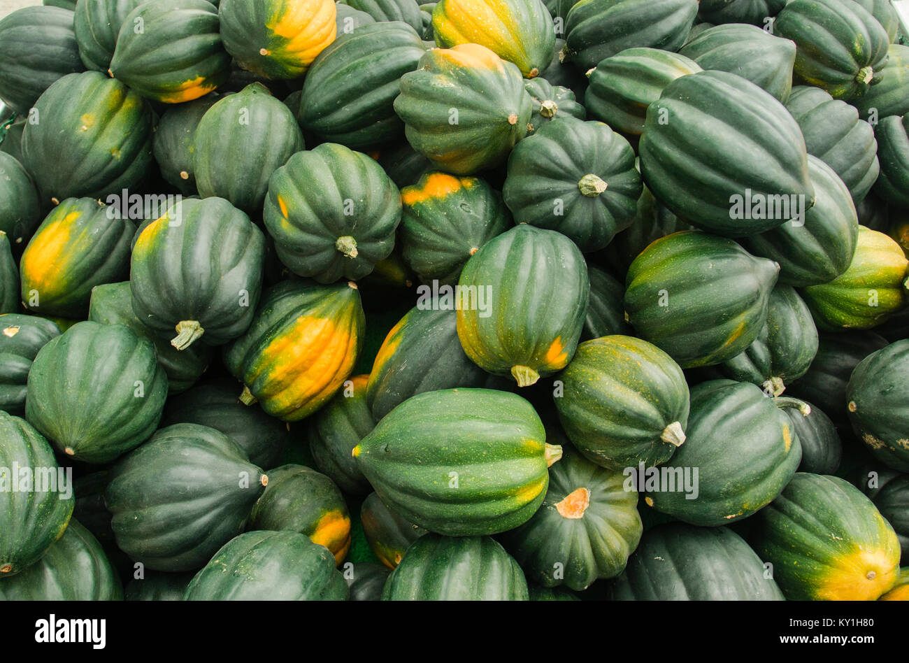Diverses petites citrouilles miniatures dans une pile Banque D'Images