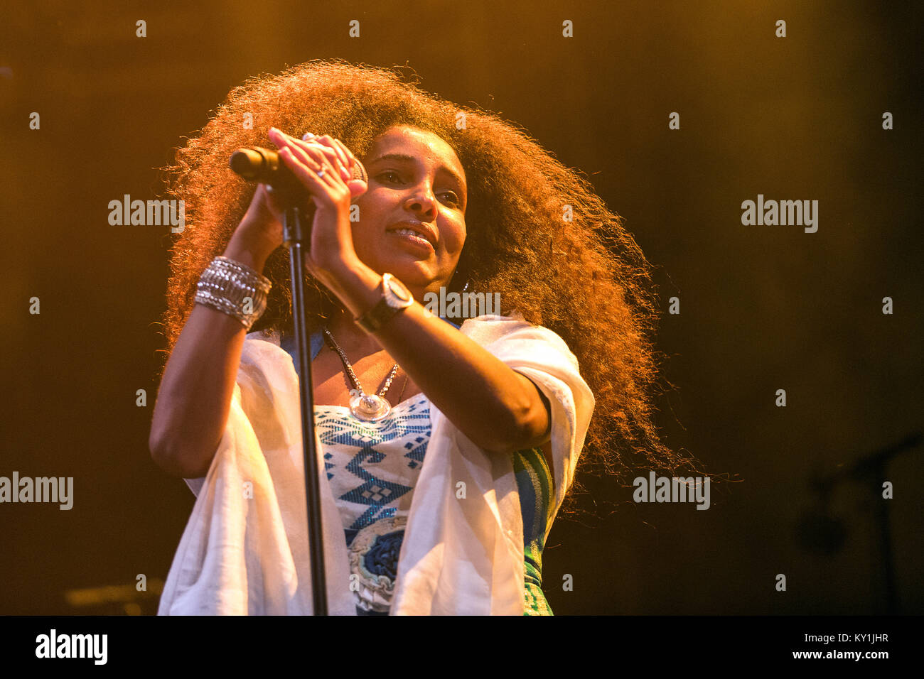 Le monde French-Ethiopian music band funk et Badume's Band effectue un concert live avec la chanteuse Selamnesh Zéméné (photo) au Danish music festival Festival de Roskilde 2013. Danemark 06/07 2013. Banque D'Images