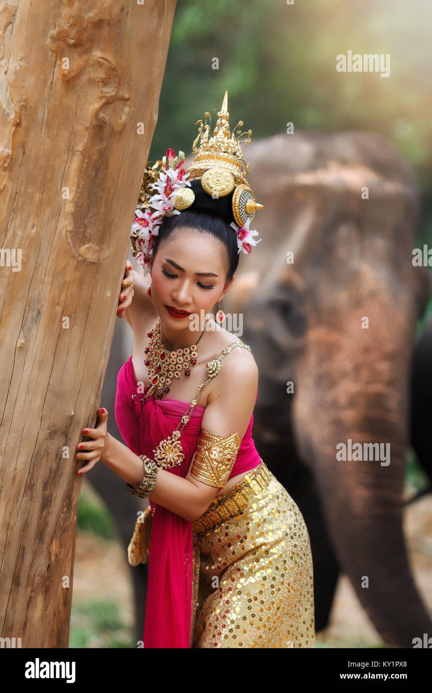 Jolie thai in traditional thai costumes touch un arbre avec les éléphants background Banque D'Images