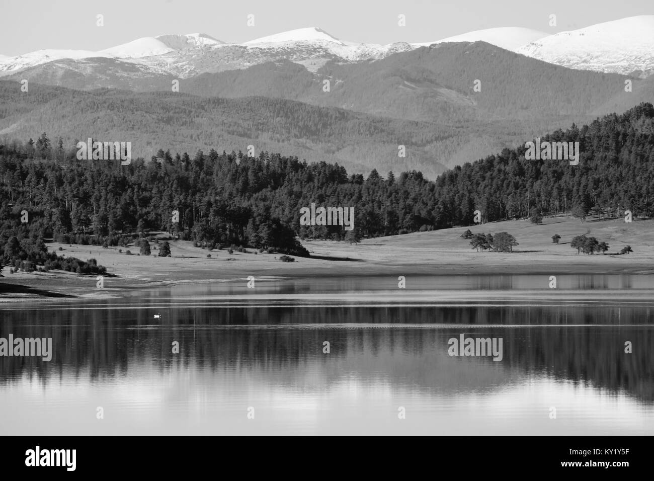 Belles réflexions de Batak dam Lake dans les montagnes bulgares, dans la brume matinale, en noir et blanc. Banque D'Images