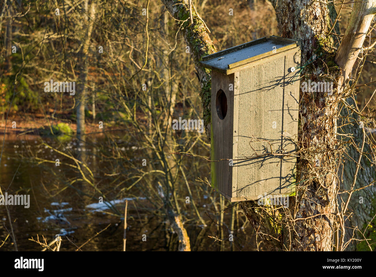 Nichoir en bois pour l'Islande. Banque D'Images