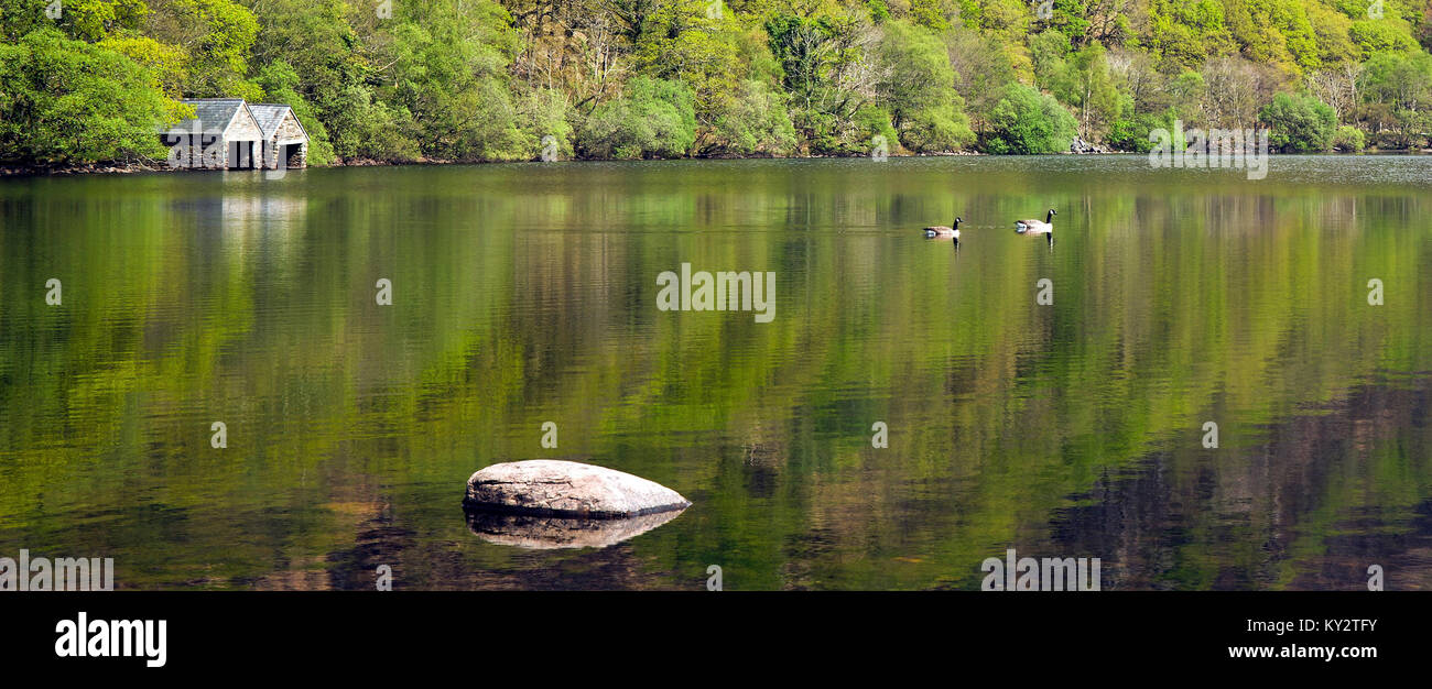 Bateaux sur le rivage de la magnifique Llyn Dinas sereine d'un lac dans la vallée du Parc National de Snowdonia Nantgwynant Gwynedd au nord du Pays de Galles au Royaume-Uni, la fin du printemps Banque D'Images