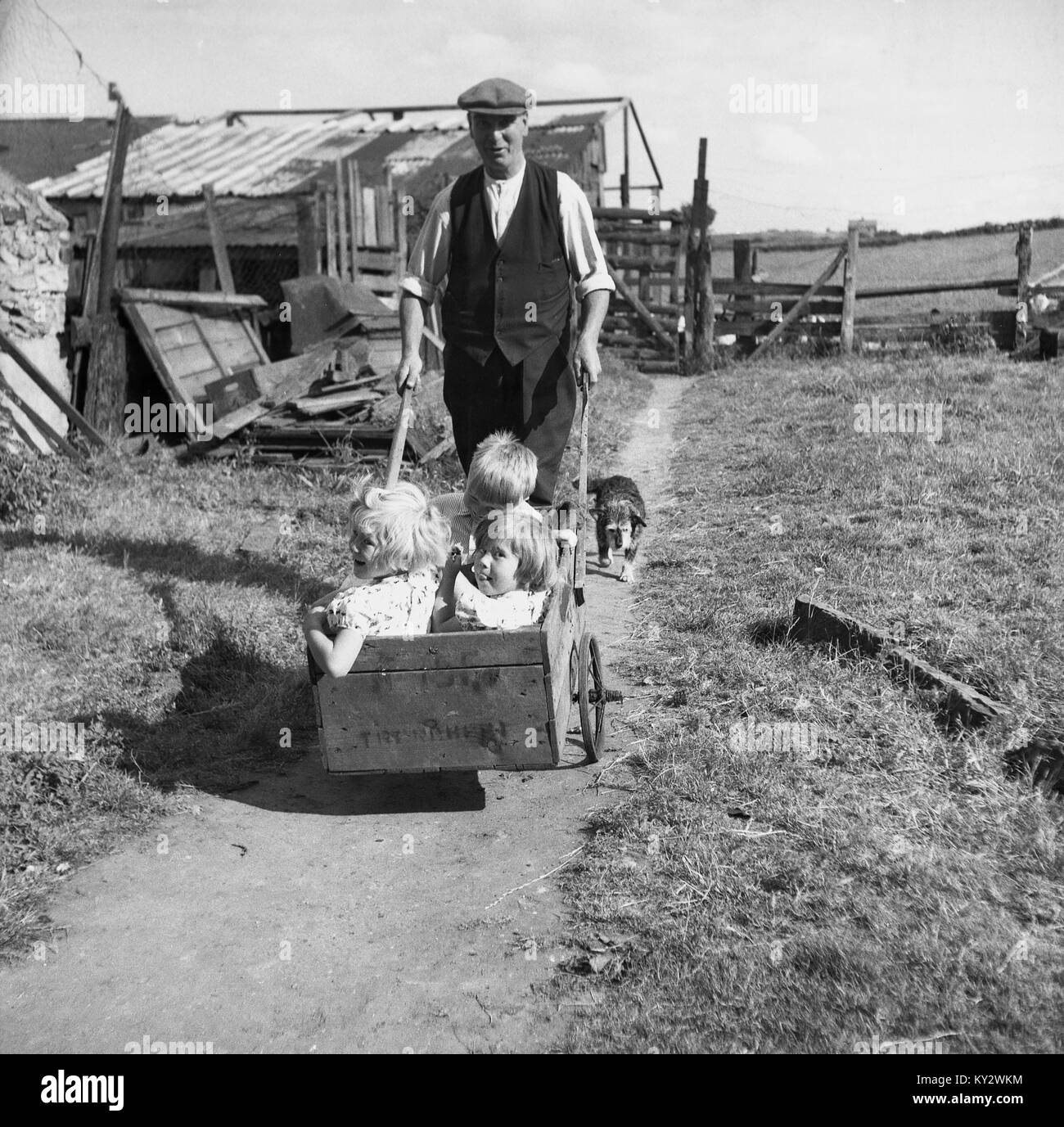 Années 1950, tableau historique d'un agriculteur dans un gilet et d'une télévision à l'extérieur de son fram sur une piste en poussant son ses trois jeunes enfants dans une petite brouette fait-main, England, UK. Banque D'Images