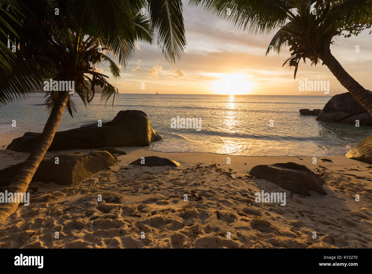 Coucher de soleil sur plage tropicale avec palmiers et voiliers à l'horizon, Mahé, Seychelles Banque D'Images