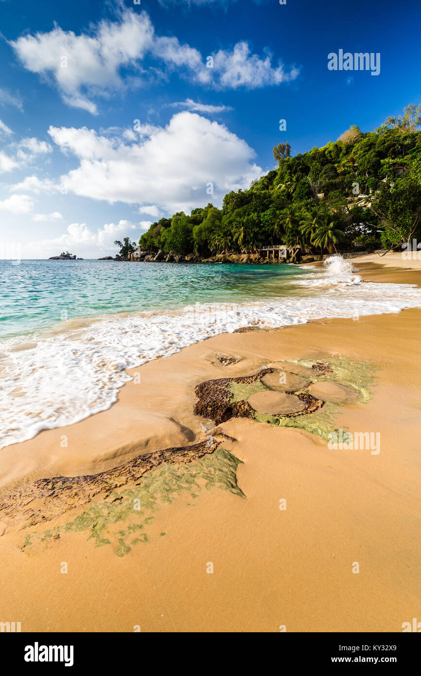 Belle plage de Soleit sur île tropicale, Mahé, Seychelles Banque D'Images