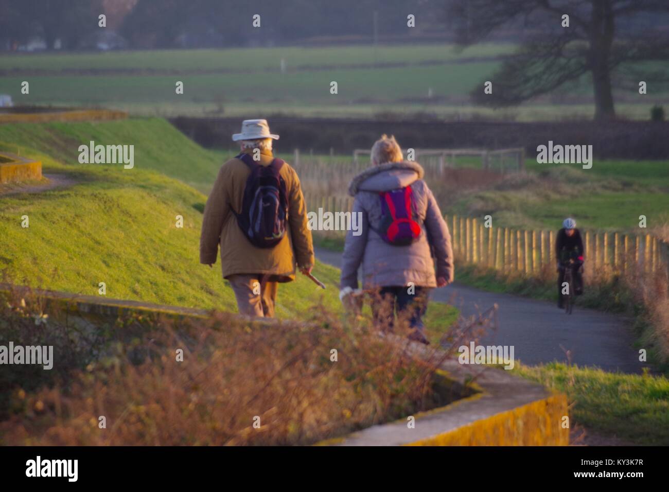 L'homme et la femme Couple d'âge moyen chien marcher le long de l'estuaire Exe Sentier, du turf Hotel à Powderham dans la lumière dorée du soir. Devon, Royaume-Uni. Banque D'Images