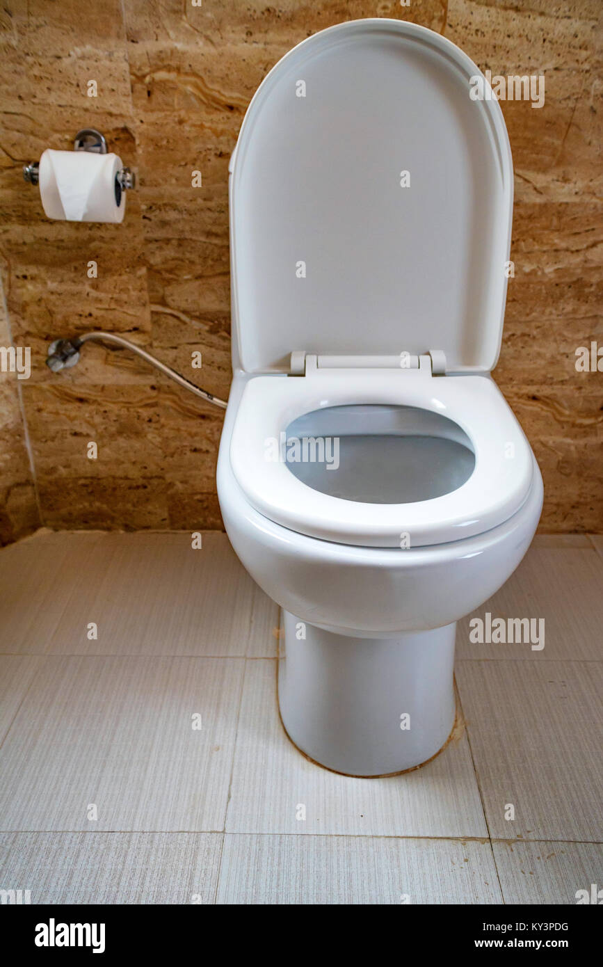 Des toilettes à chasse d'eau dans la cuvette des toilettes Banque D'Images