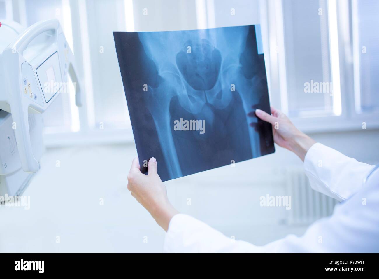 Doctor holding x-ray d'un bassin. Banque D'Images