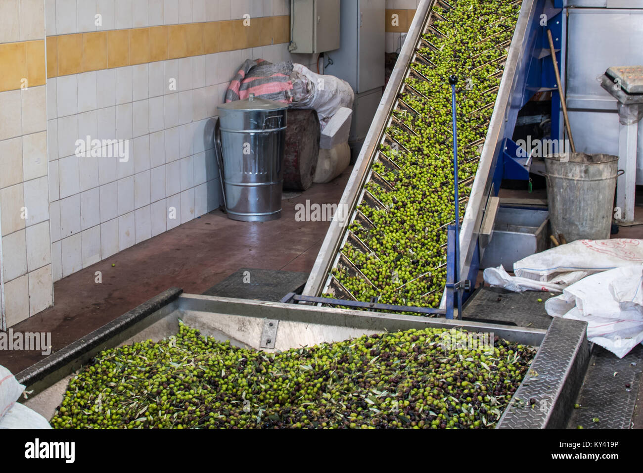 Processus d'extraction de l'huile d'OLIVE Huile d'olive dans une usine de presse en Grèce Banque D'Images