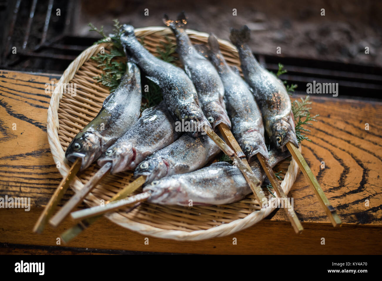 Amphibie Arbre de Tochi sauge poisson a la broche Pourri Subalterne Séduire