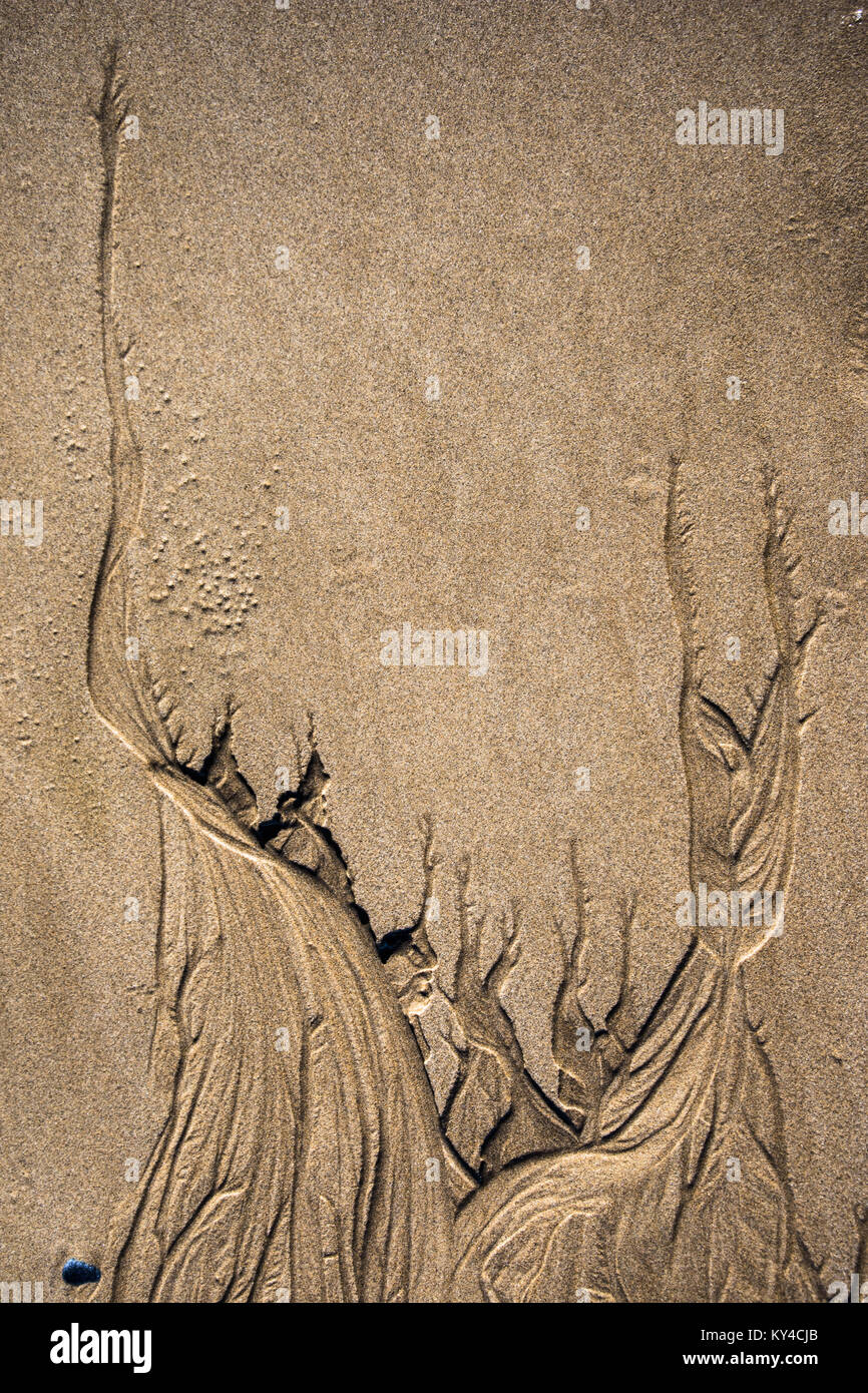 Sculptures de sable sur la mer la texture d'arrière-plan Banque D'Images