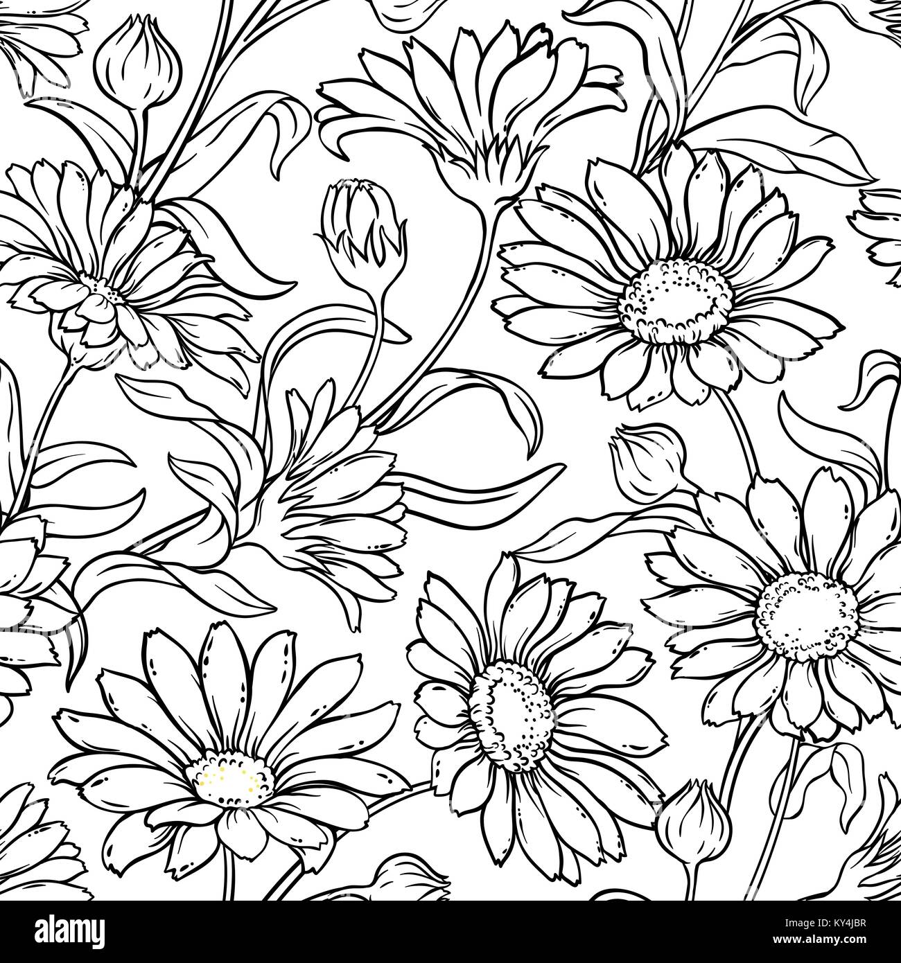 Plante Calendula motif transparent sur fond blanc Illustration de Vecteur