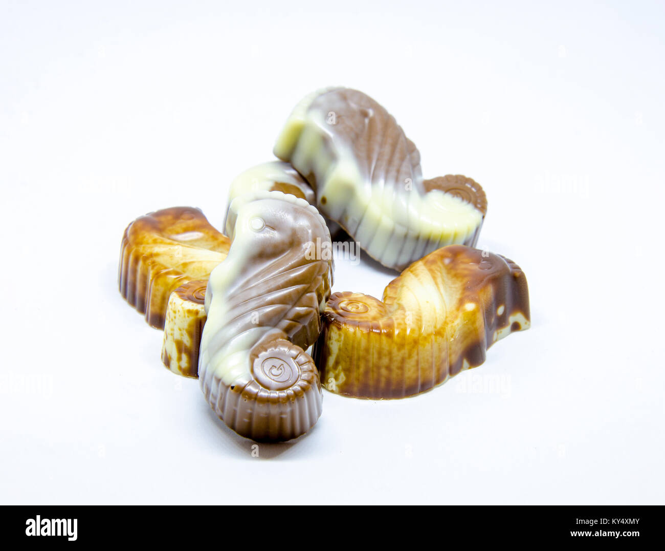 Les hippocampes en chocolat Guylian photographié sur un fond blanc. Banque D'Images