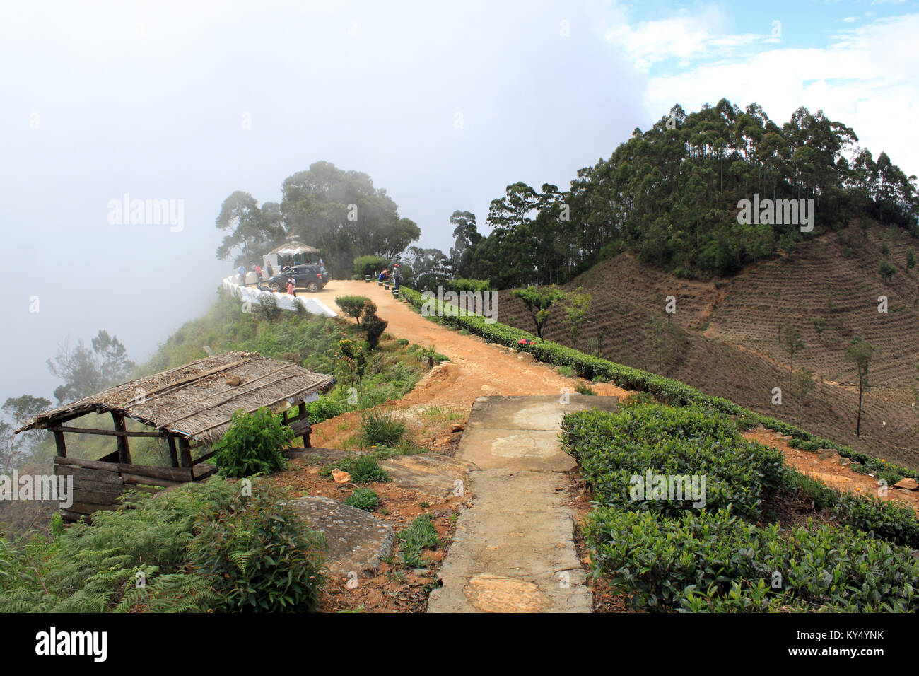 Le mont, la plantation de thé et de point de vue au Sri Lanka Banque D'Images
