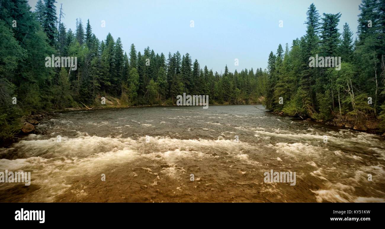 Large rivière en forêt Banque D'Images