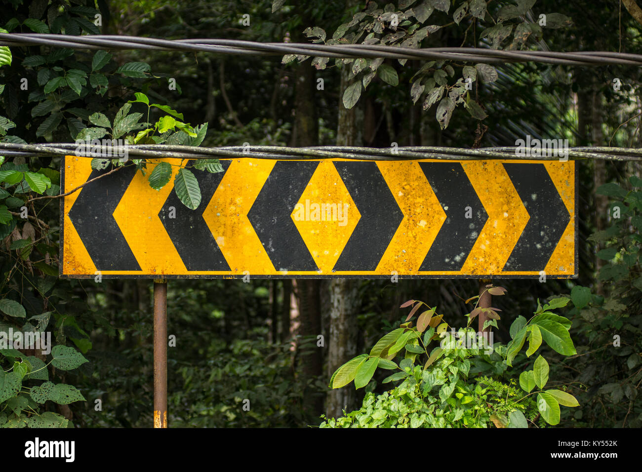 Vieux jaune sale et noire dirtection junction road sign on post avec jungle background. Banque D'Images