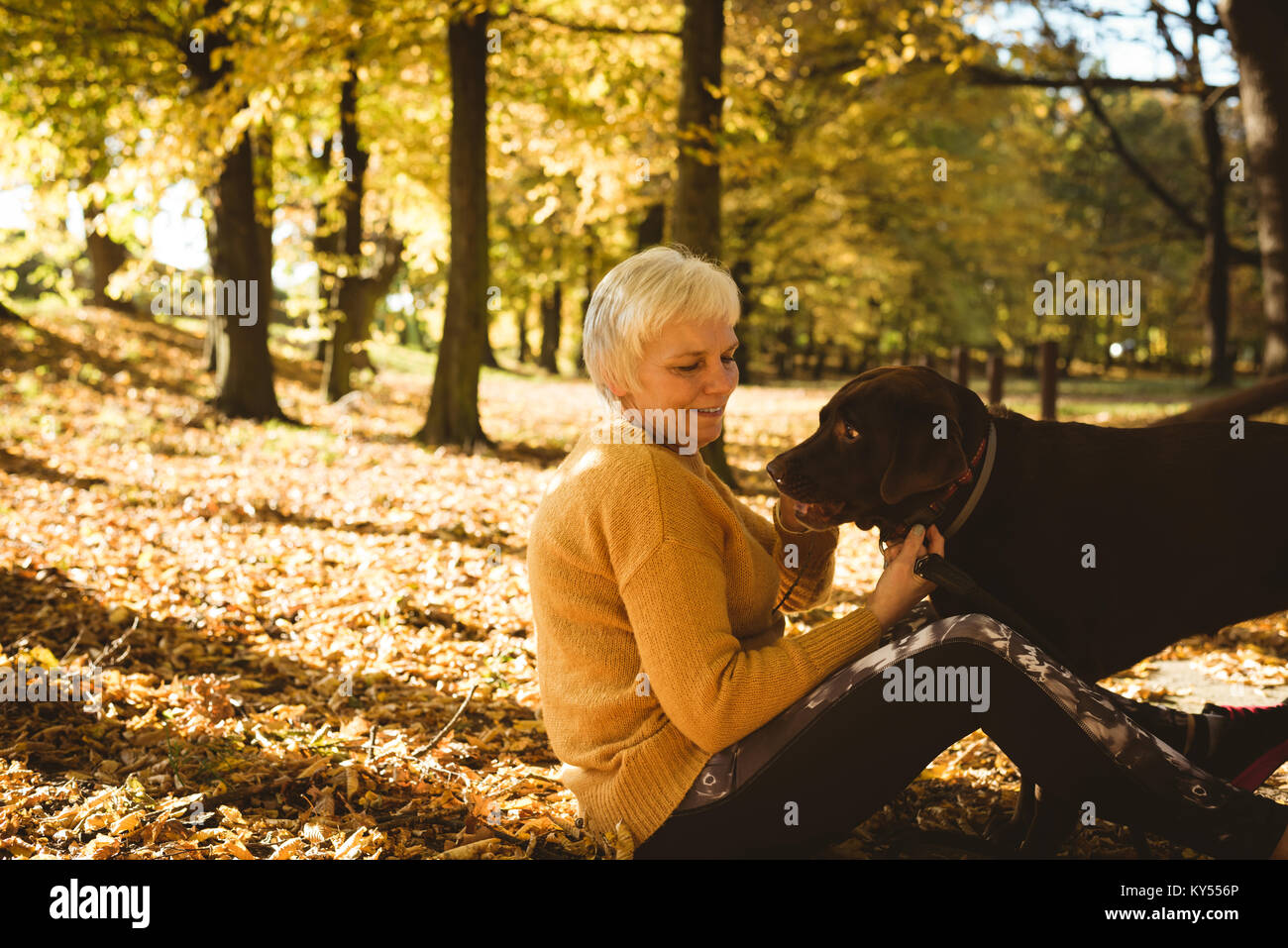 Senior woman sitting on ground et caressant son chien dans le parc Banque D'Images