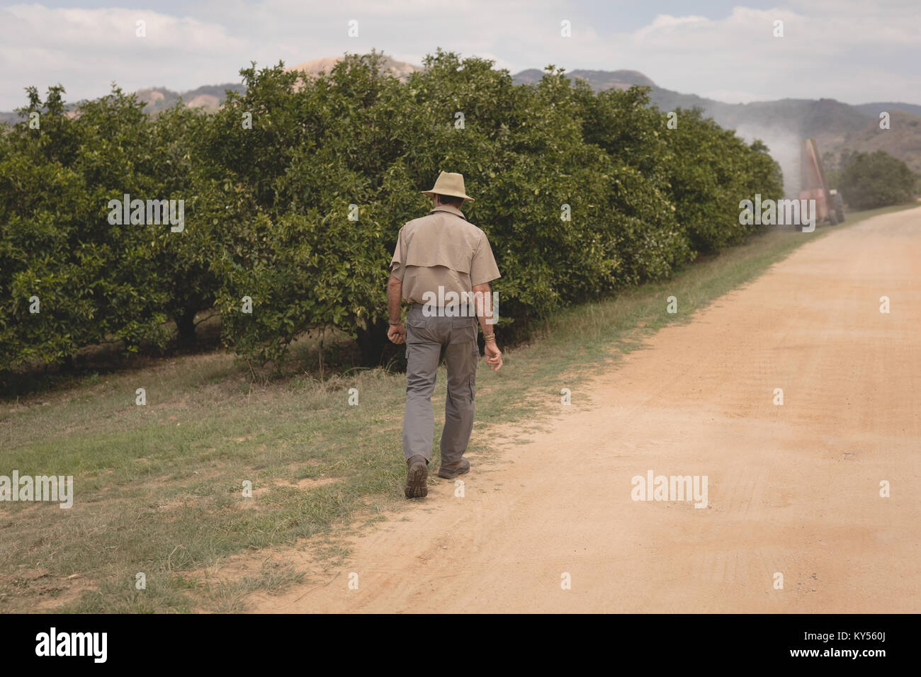 Farmer walking in the orange farm Banque D'Images