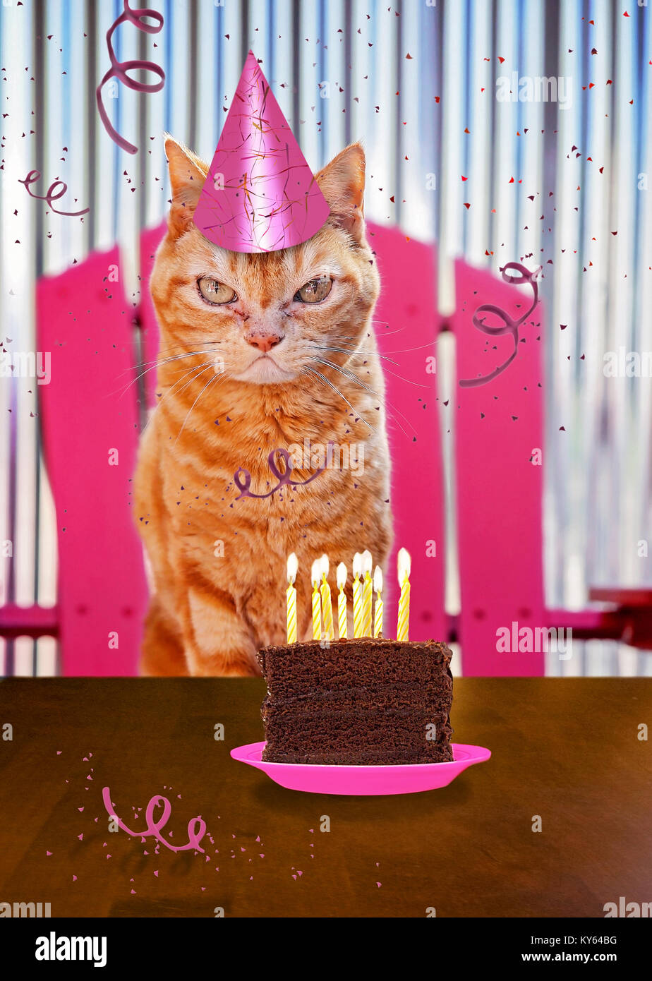 Un chat orange avec un morceau de gâteau sur une assiette avec des bougies et de banderoles pour carte d'anniversaire ou autres produits à thème Banque D'Images