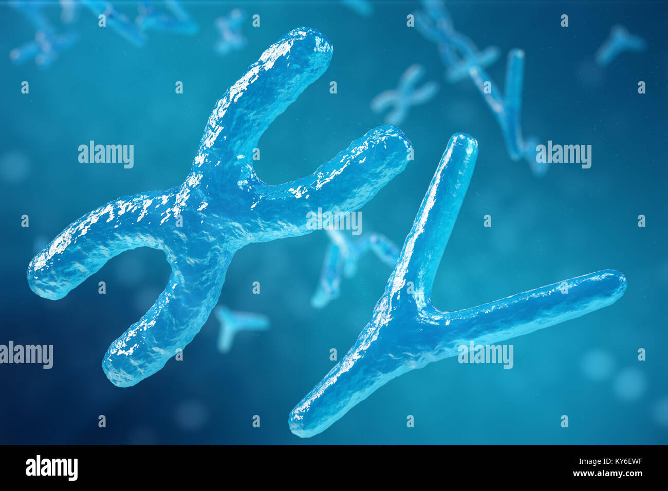 Illustration 3d De Chromosomes Xy Comme Un Concept De La Biologie Humaine Symbole Medical La Therapie Genique Ou La Microbiologie A La Recherche Genetique Photo Stock Alamy