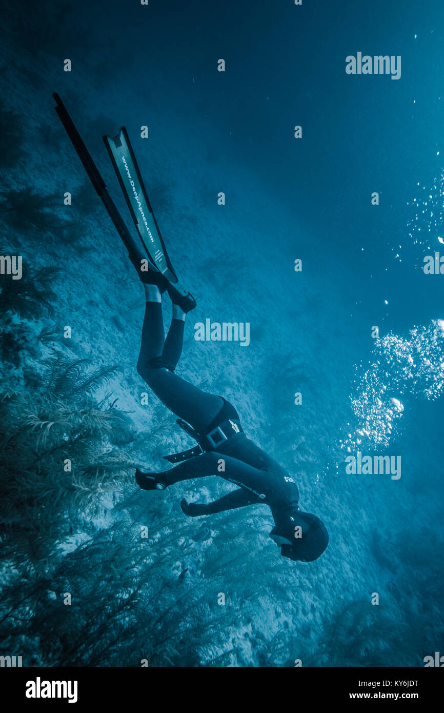 L'île de San Andrés, Colombie   vers mars 2017. Simulation d'Apnée de blackout durant un cours de plongée dans les Caraïbes. Banque D'Images