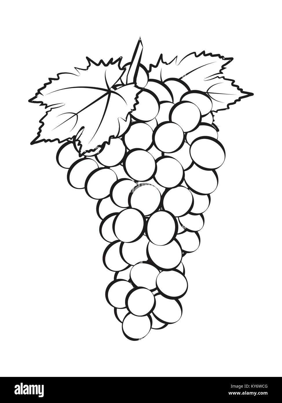 Grappe de raisins avec des feuilles Illustration de Vecteur Grappe de raisins avec des feuilles Illustration de Vecteur