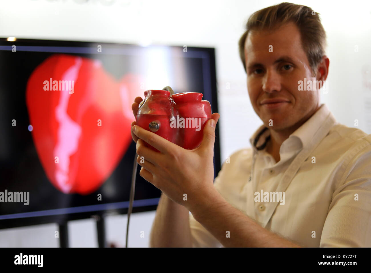 Man holding modèle en plastique d'un coeur humain Banque D'Images