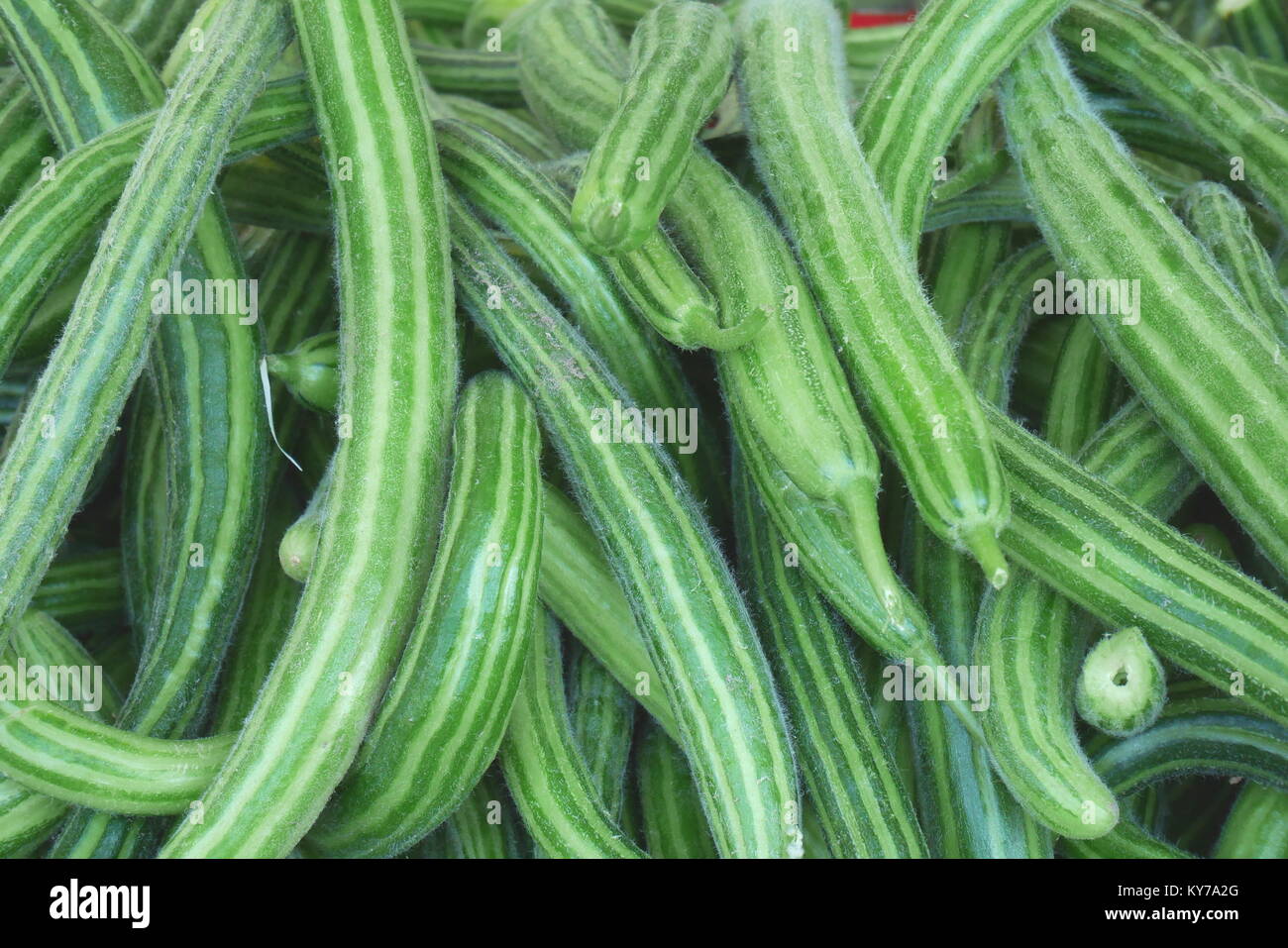 Concombre arménien (Cucumis melo), un membre de la famille cantaloup, en vente sur le marché de producteurs, Manama, Royaume de Bahreïn Banque D'Images