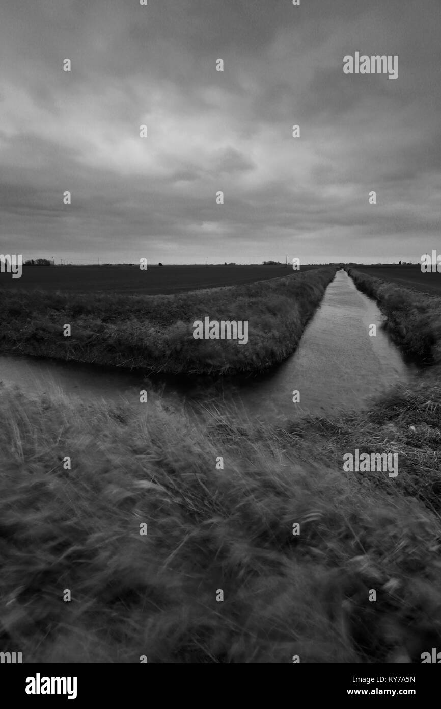 Jour de vent sur la vieille ville de la rivière Nene, Ramsey, Fenland, Cambridgeshire, Angleterre, RU Banque D'Images