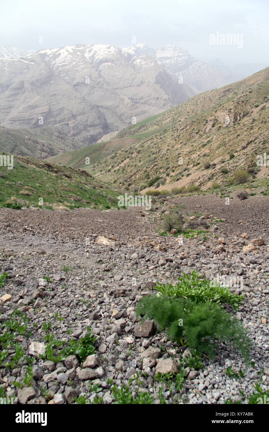 Sentier de montagne Zagros en Iran Banque D'Images