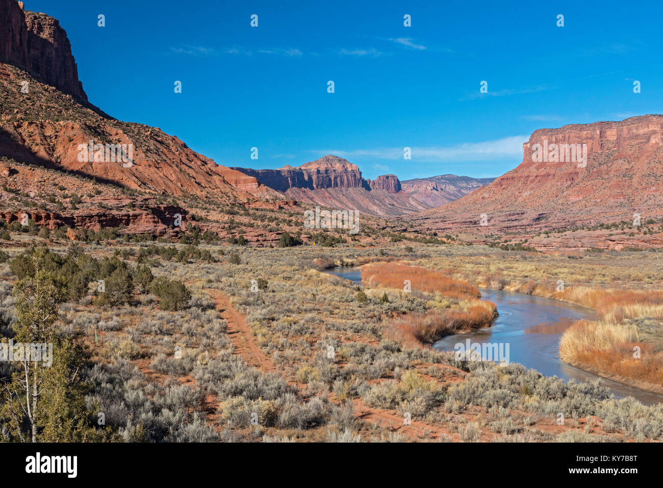 Gateway, Colorado - Le flux de la rivière Dolores dans une vallée le long de la Unaweep/Tabeguache Scenic Byway. Banque D'Images