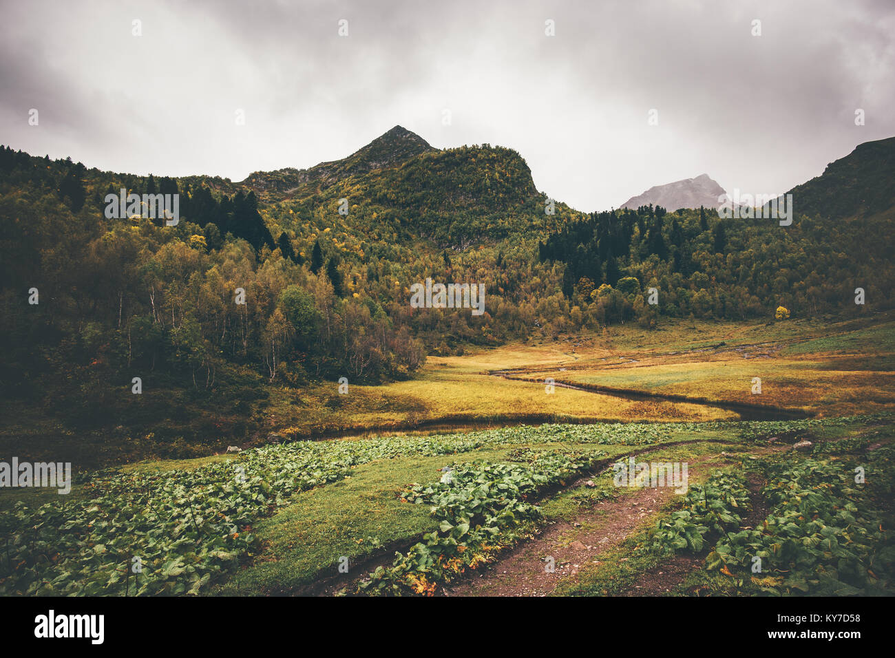 Montagne et forêt d'automne voyage paysage serein vue panoramique moody weather Banque D'Images