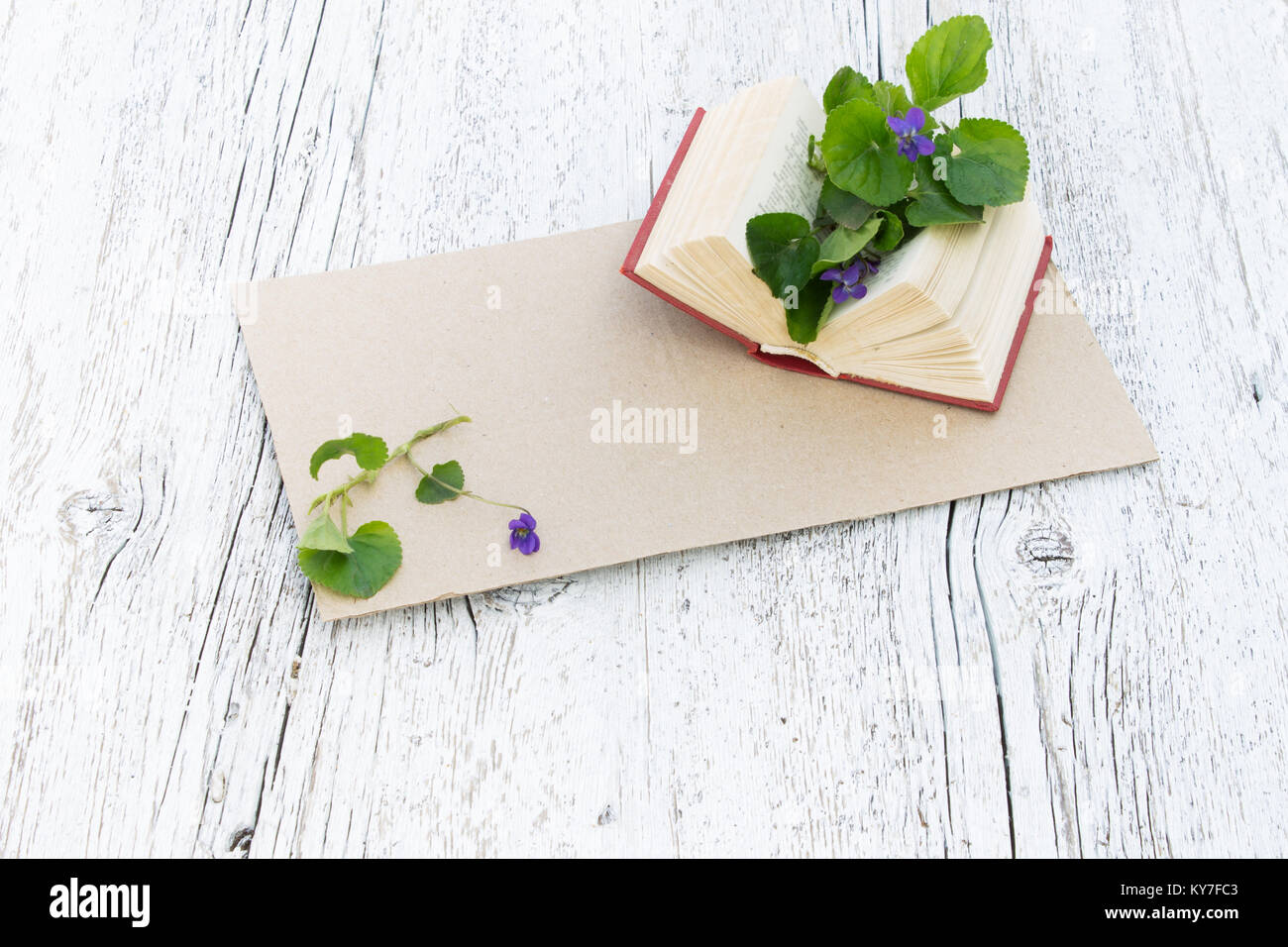 Livre ouvert avec un bouquet de violettes sur un fond de bois blanc Banque D'Images