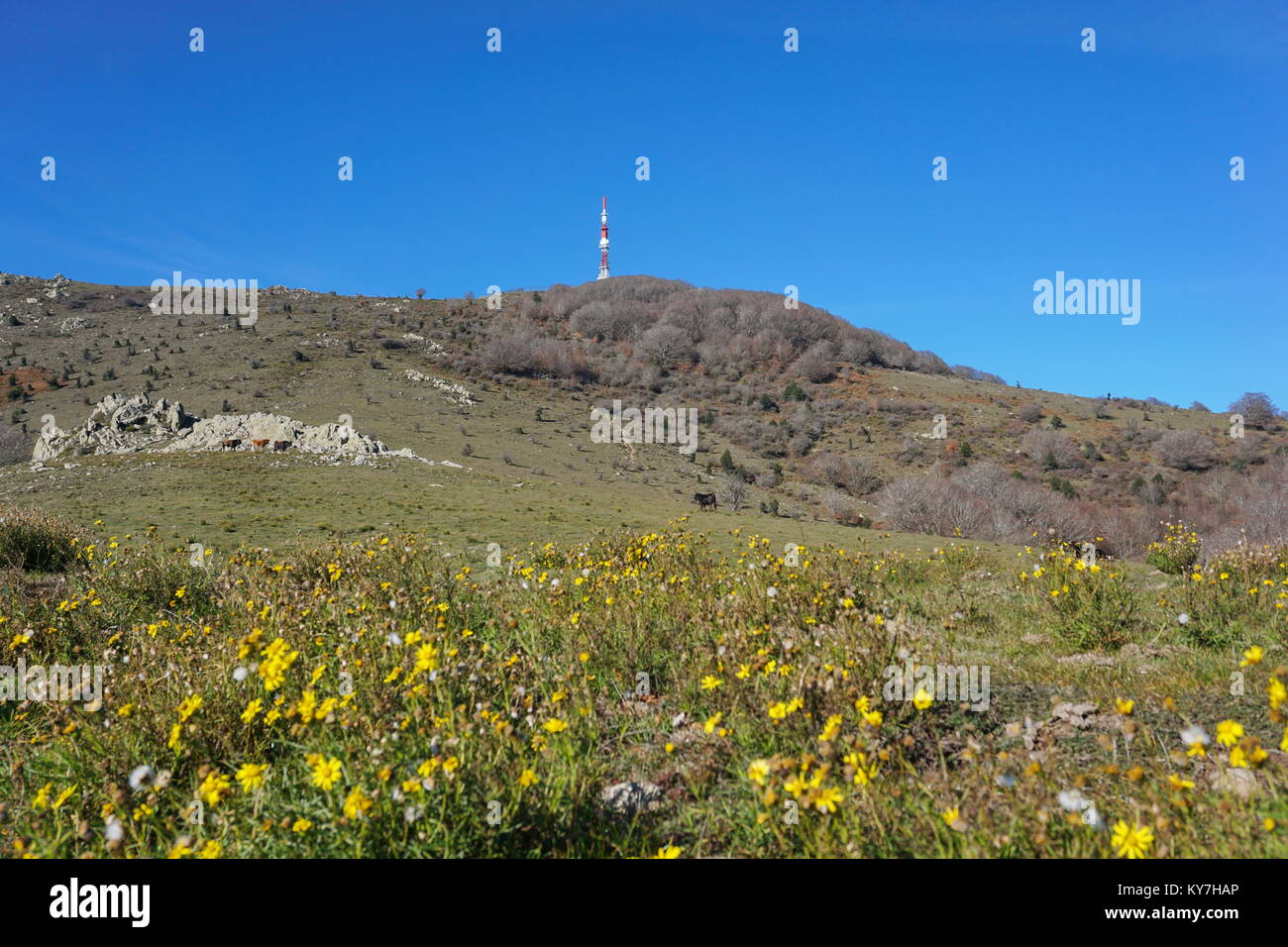 Paysage de montagne le pic Neulos dans le Massif de l'Albera entre la France et l'Espagne, Pyrénées Orientales, Catalogne Banque D'Images