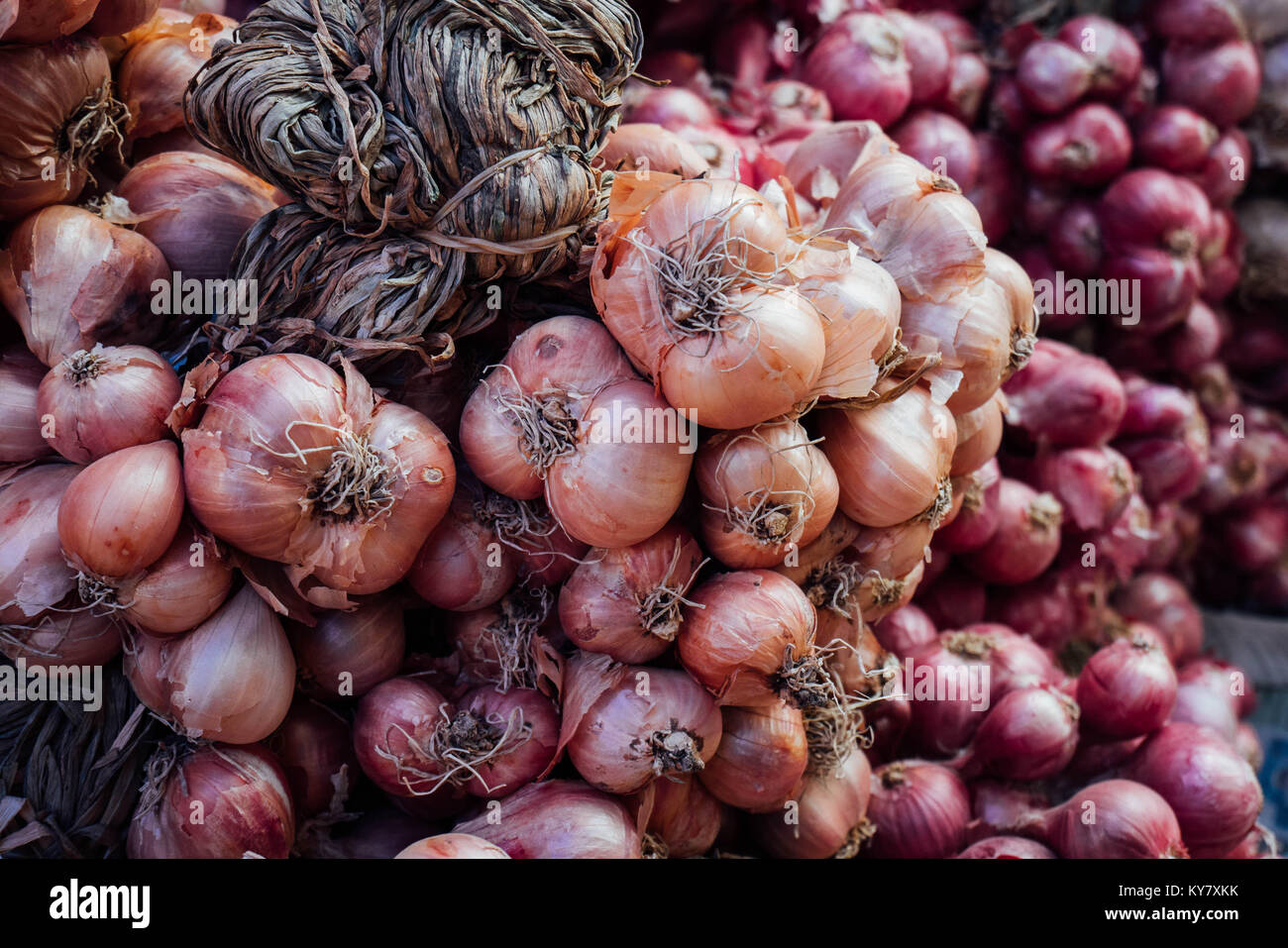 Dans échalotes pour la cuisine du marché, de la nature de l'alimentation Banque D'Images