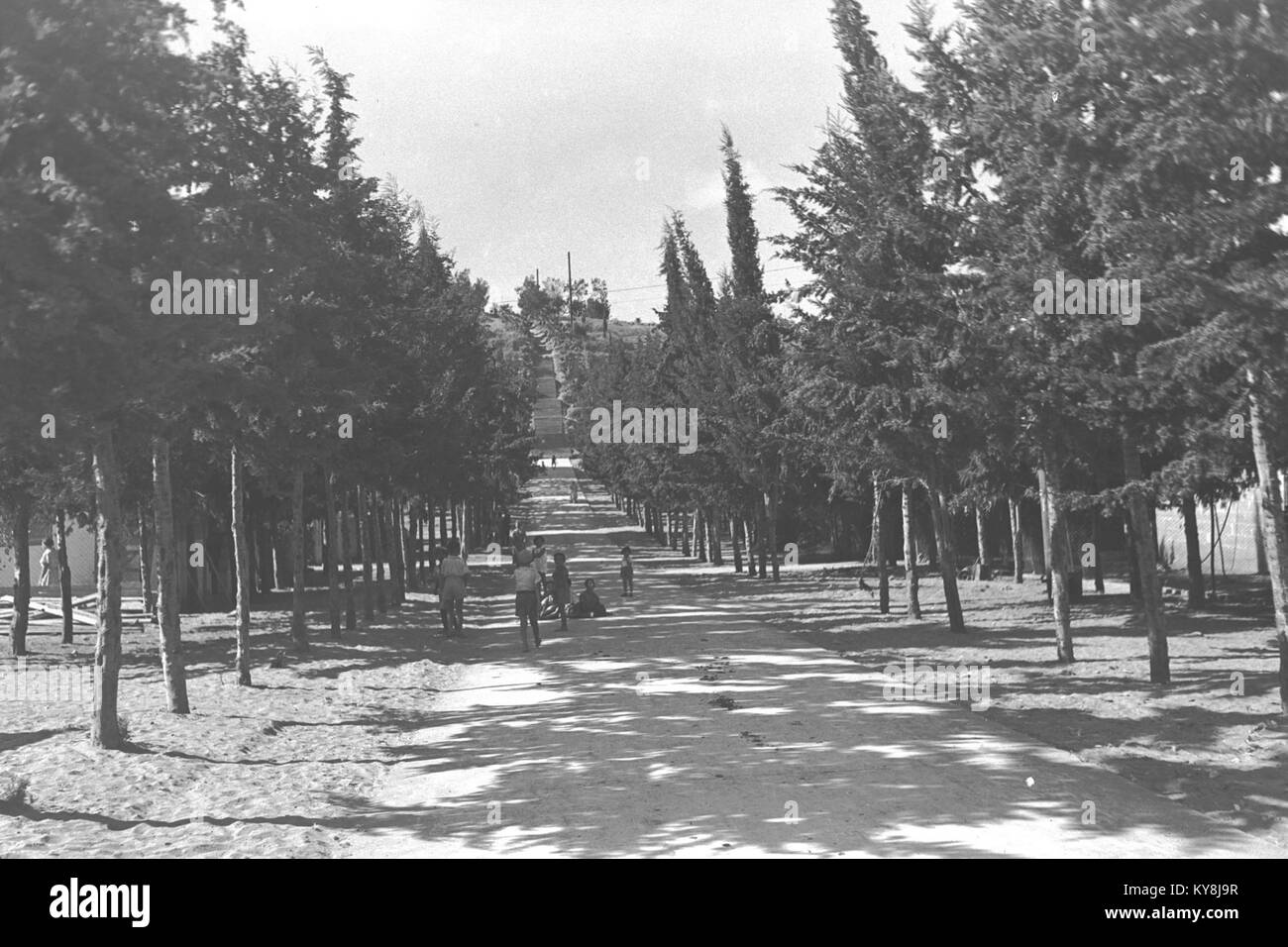 Le jardin public de Bnei Brak, en Israël, est un espace vert urbain avec des pelouses, des arbres, des allées et des zones de loisirs pour la communauté locale. Banque D'Images
