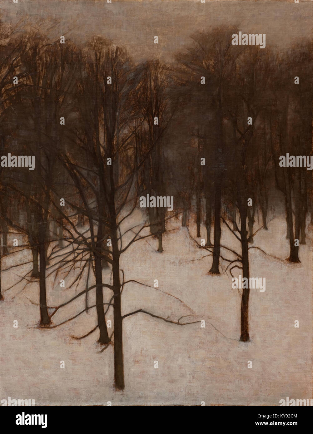 Une scène hivernale à Søndermarken, au Danemark, montrant un paysage de parc enneigé, des arbres, des sentiers et des zones de loisirs, illustrant des caractéristiques naturelles et urbaines. Banque D'Images