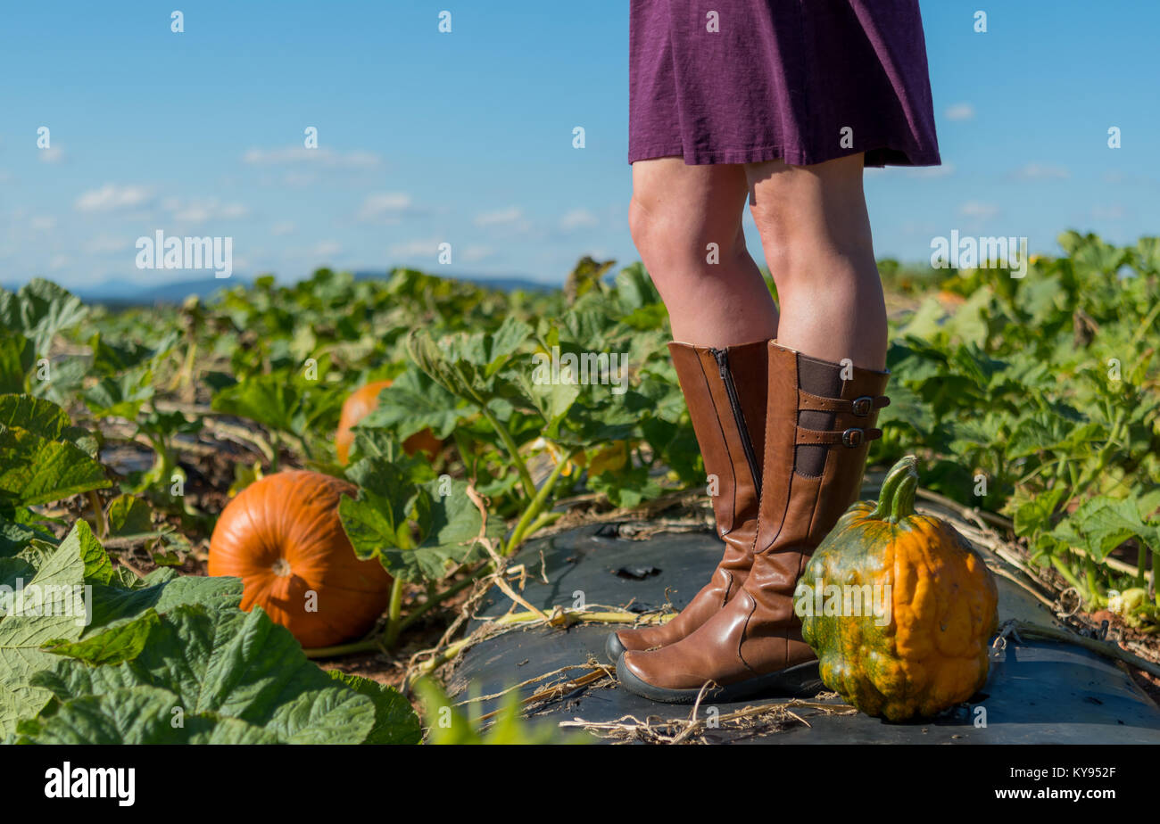 Heirloom Pumpkin au pied de relaxed woman à sunny Pumpkin Patch Banque D'Images