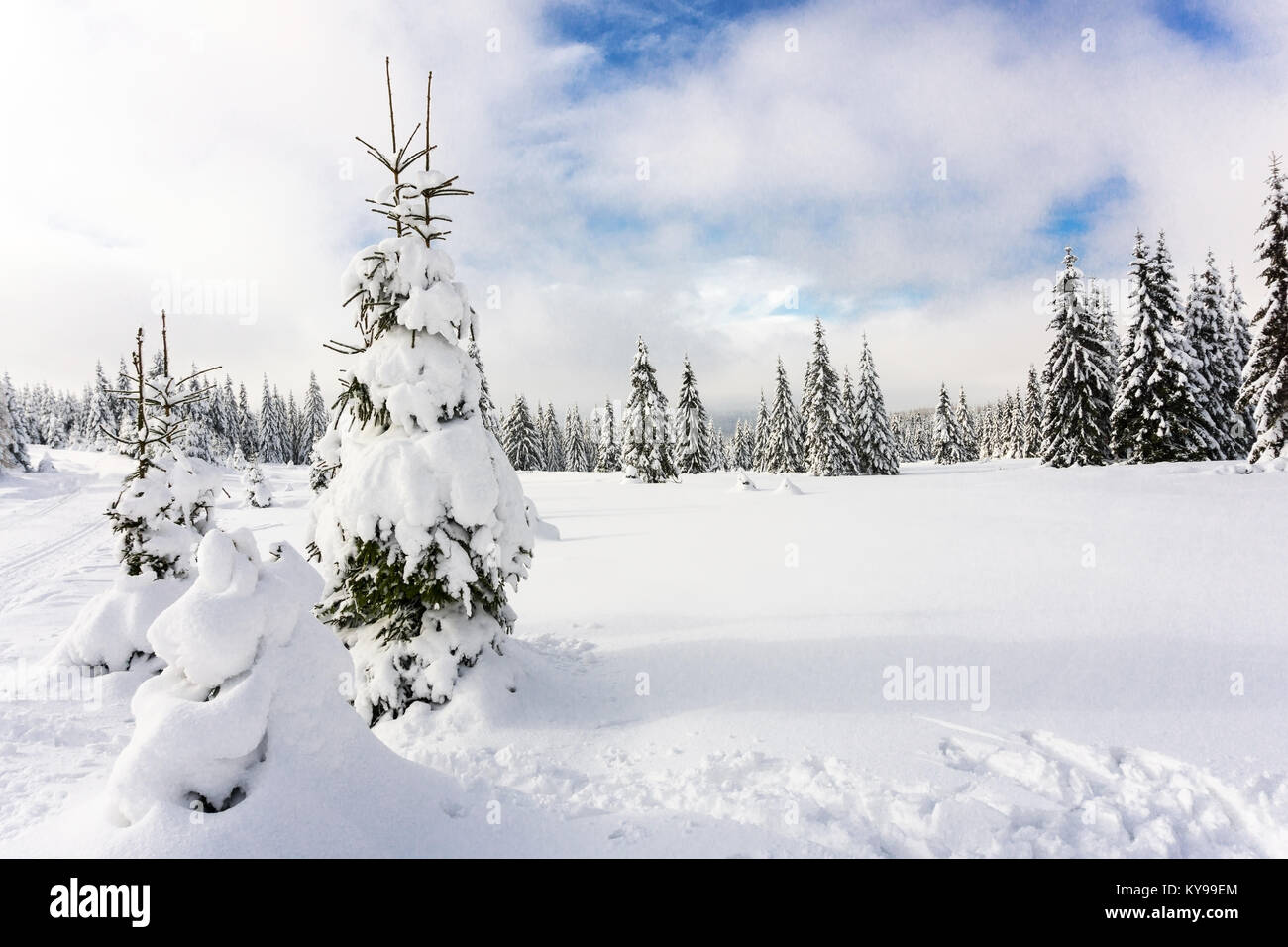 Montagnes hiver paysage.géants recouverts de neige fraîche, ciel nuageux. Montagnes Karkonosze, Giant, en Pologne. Banque D'Images