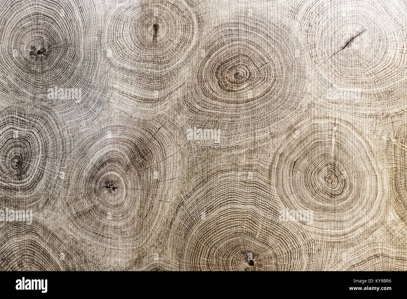 Brown vintage grunge textured background vide en bois sombre. Surface de l'ancien brun bois texture. Vue avant Banque D'Images
