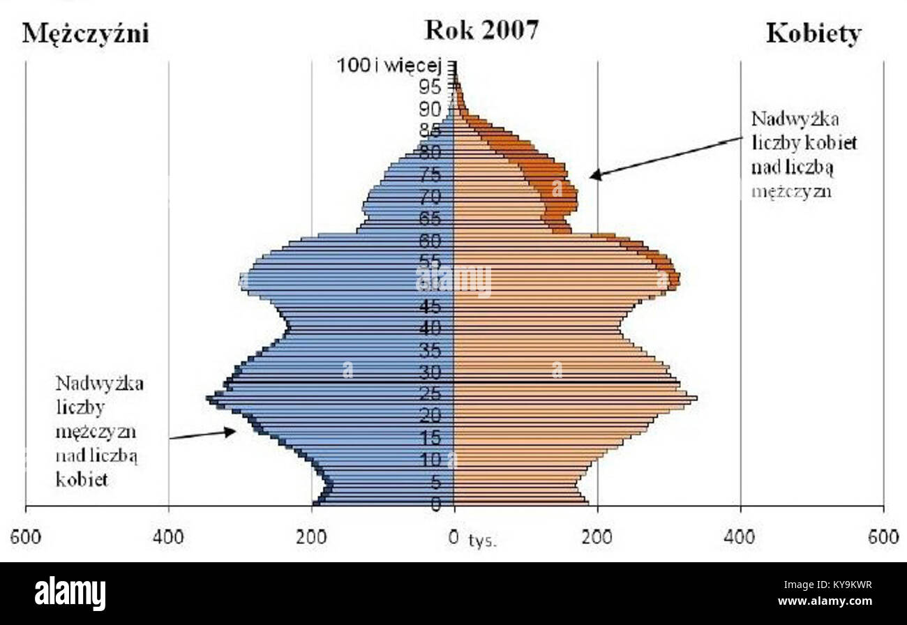 La pyramide de la population polonaise de 2007, créée par l'Office central de statistique (GUS), illustre la répartition par âge et la structure démographique en Pologne. Banque D'Images