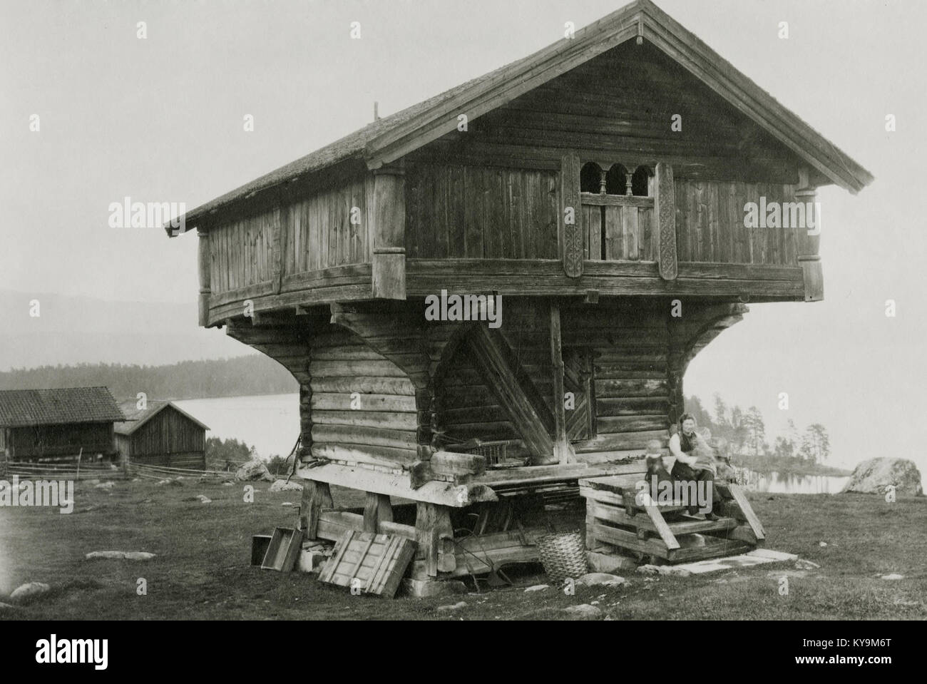 Photographie de Vik Øvre à Telemark, Norvège, montrant les bâtiments traditionnels, le paysage du village et l'importance historique documentée par Riksantikvaren. Banque D'Images