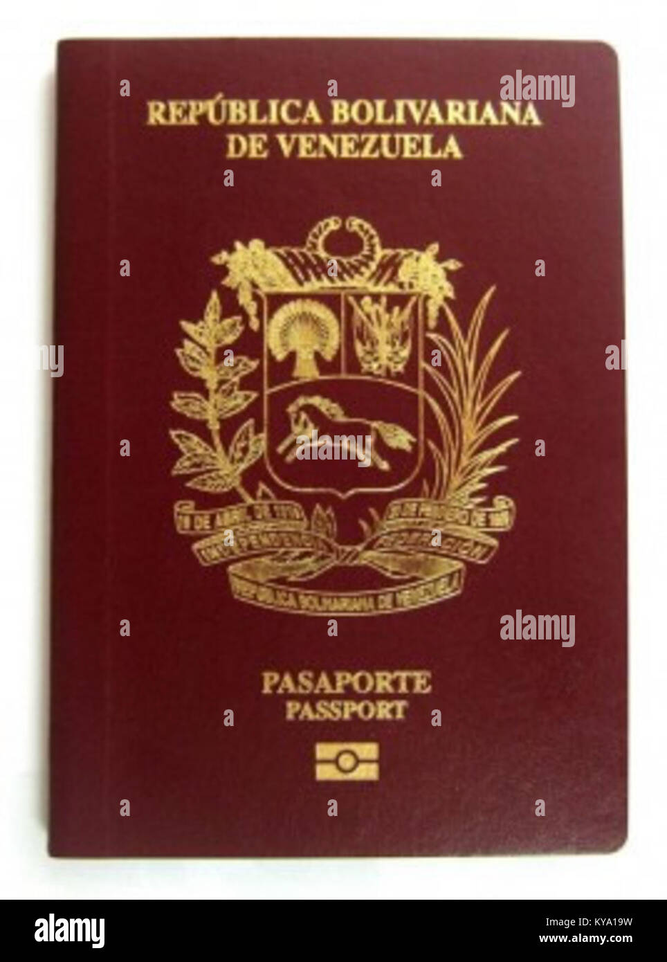 Cette image représente un passeport biométrique vénézuélien, illustrant les caractéristiques de sécurité, les données d'identification personnelle et le dessin du document de voyage. Banque D'Images