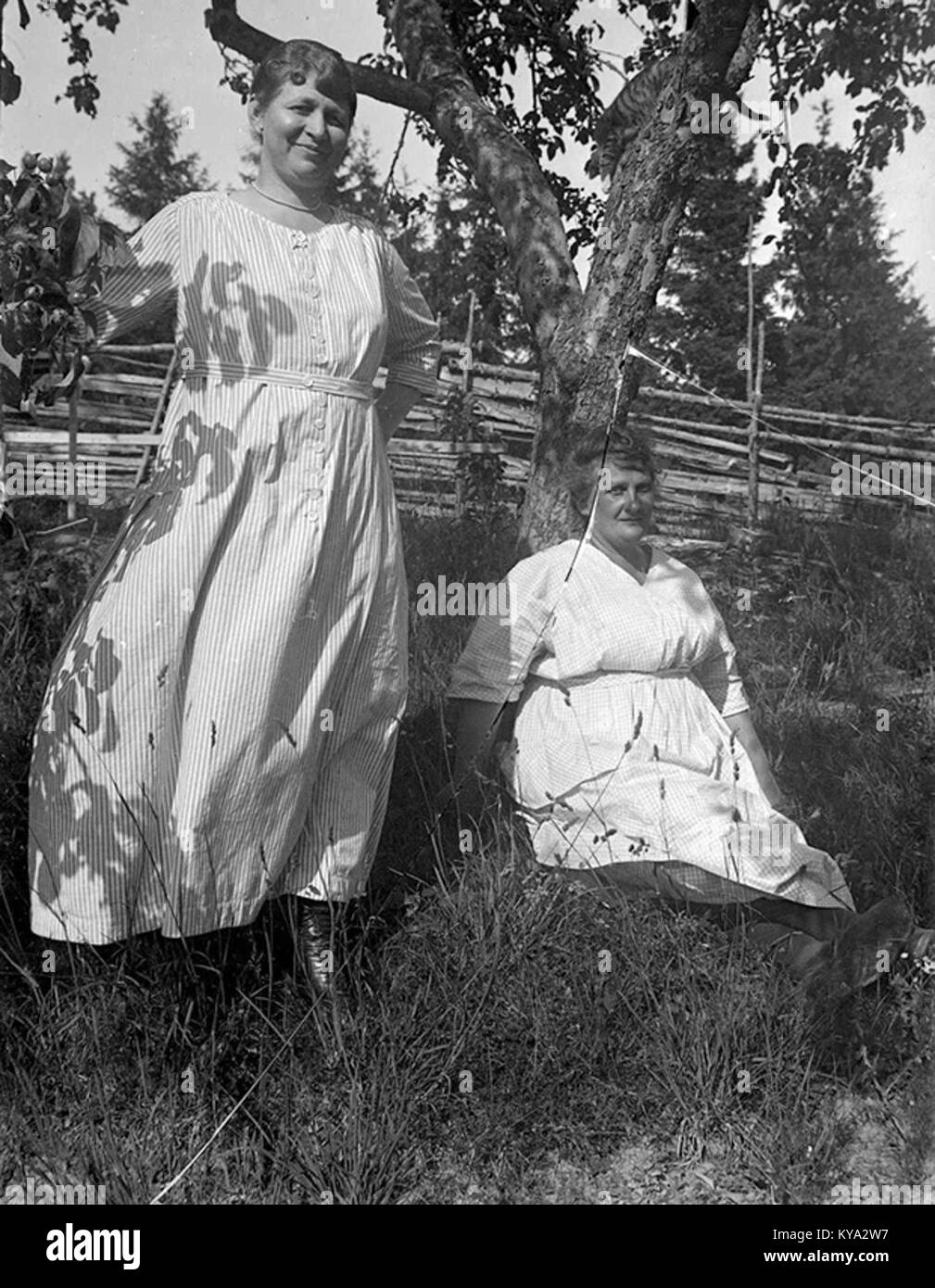 Cette image du Nordiska Museet montre deux femmes en robes d'été légères sous un pommier, avec un chat grimpant à l'arbre. Il reflète un moment paisible de la nature et de la vie quotidienne. Banque D'Images