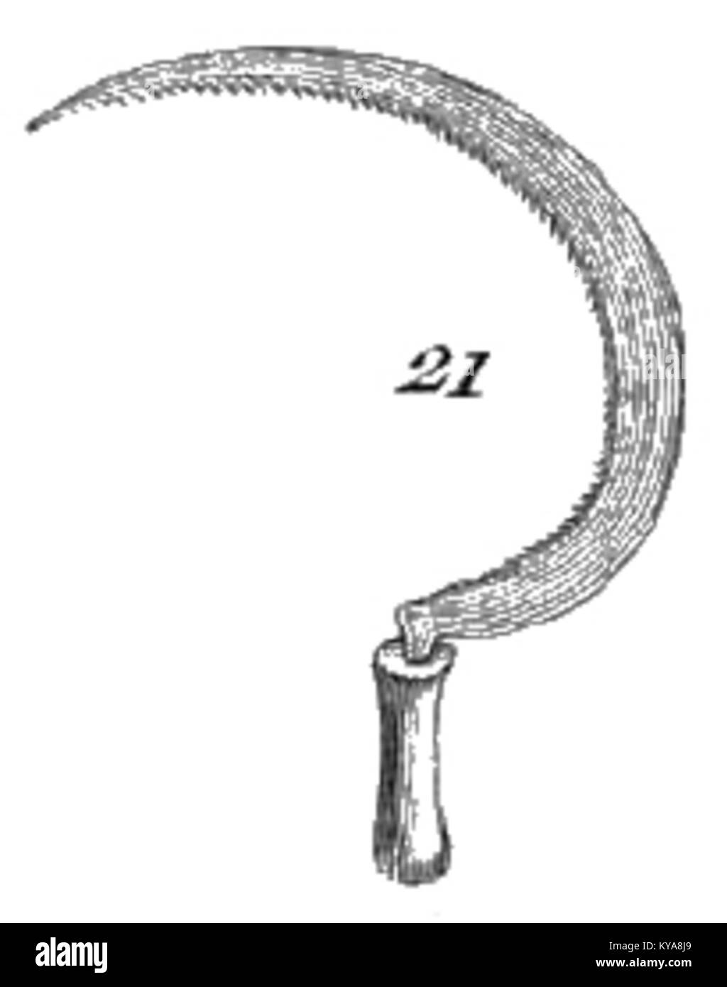 Illustration tirée du cours d'agriculture de Rozier montrant les pratiques agricoles, les outils et les techniques de culture du XVIIIe siècle Banque D'Images
