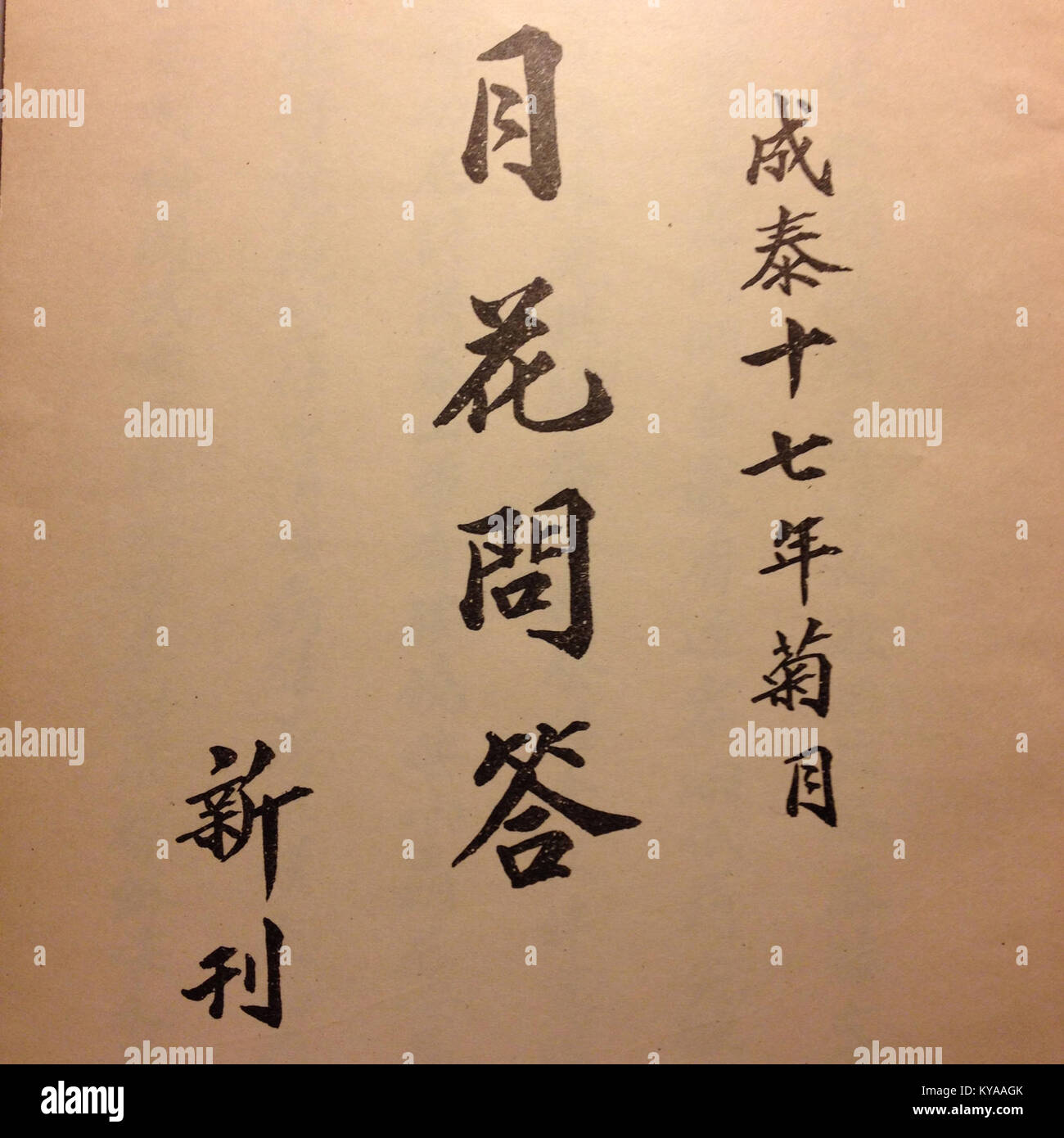 Le Nguyễn-Hòa Văn-dựp est une forme d'art vietnamien traditionnel avec des œuvres visuelles complexes, utilisées dans des contextes culturels et religieux, mettant en valeur des conceptions symboliques et un savoir-faire artisanal détaillé. Banque D'Images