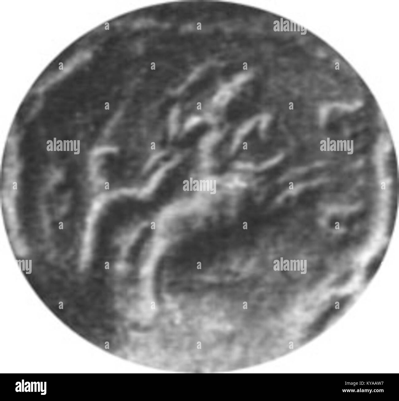 Image du sceau officiel de Pavle Bakić, montrant le dessin emblématique, les inscriptions et l'utilisation historique comme symbole personnel ou administratif. Banque D'Images