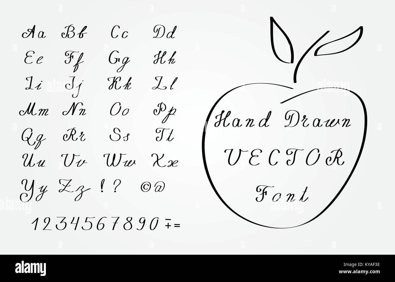 Vector hand drawn font - élégante écriture cursive Illustration de Vecteur