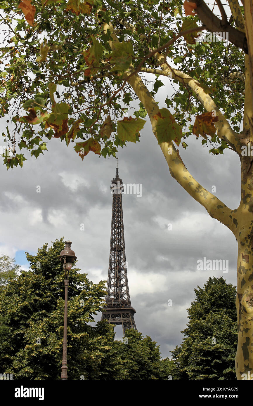 Paris, France - 31 août 2012 : Tour Eiffel sur le Champs de Mars à Paris, France Banque D'Images